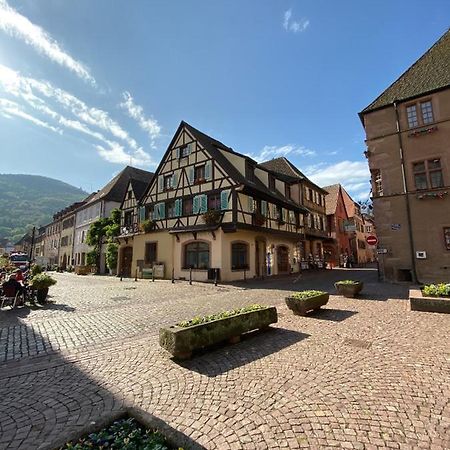 Coeur D'Alsace Apartment Kaysersberg-Vignoble Екстериор снимка