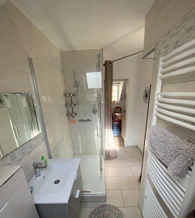 Coeur D'Alsace Apartment Kaysersberg-Vignoble Екстериор снимка
