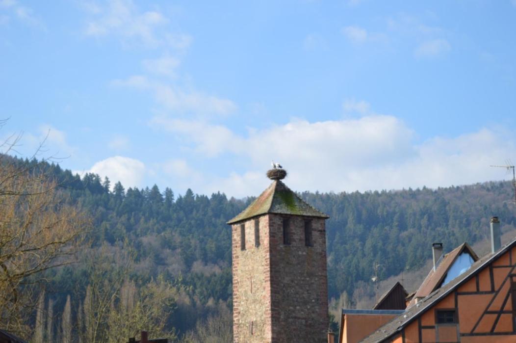 Coeur D'Alsace Apartment Kaysersberg-Vignoble Екстериор снимка